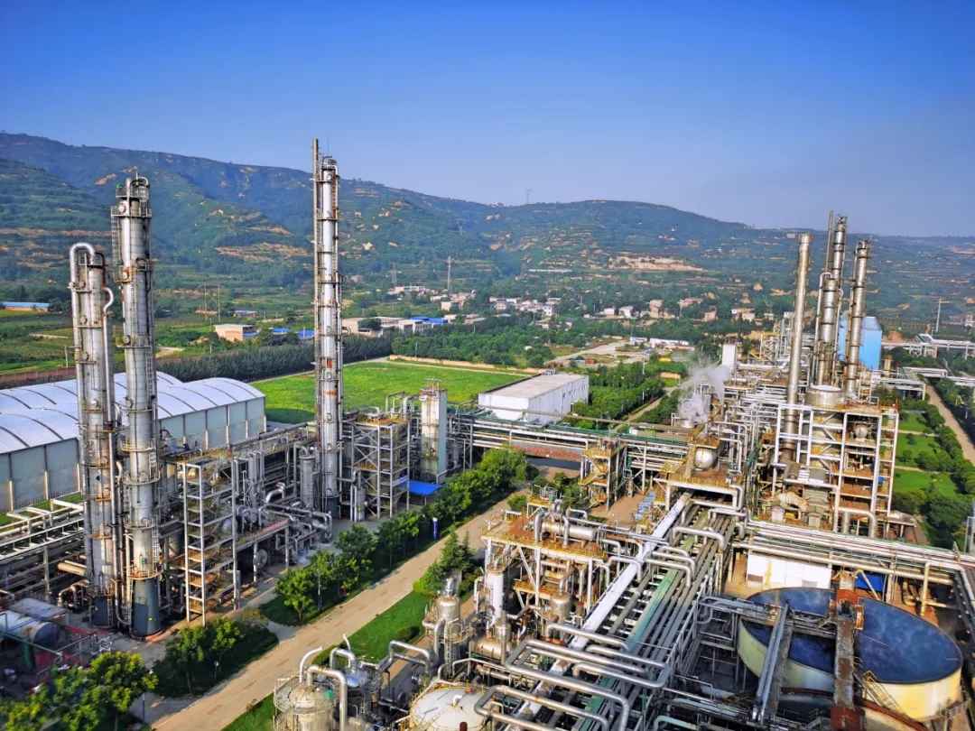 1612954732626239.jpeg 1612954732626239.jpeg