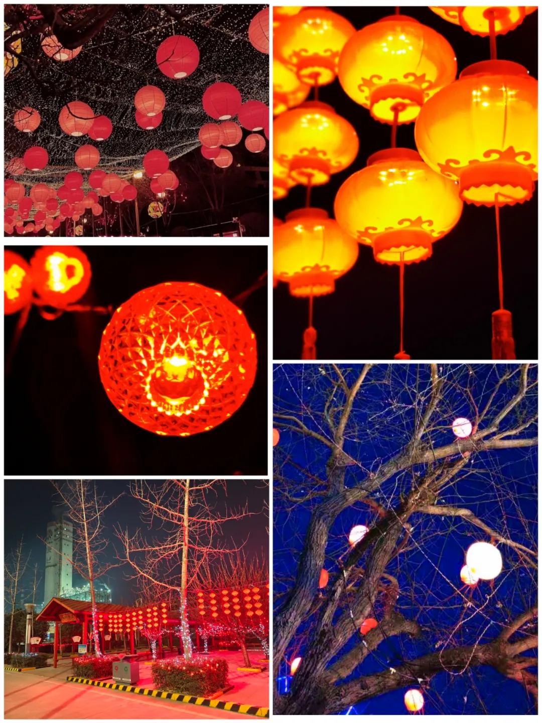 1613493263994191.jpeg 1613493263994191.jpeg