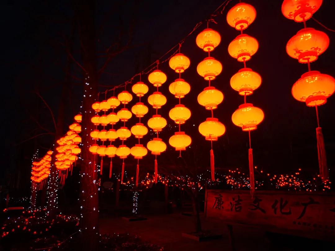 1613493326227915.jpeg 1613493326227915.jpeg