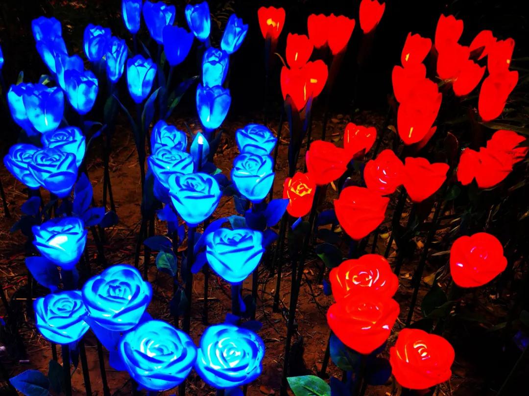 1613493365984547.jpeg 1613493365984547.jpeg