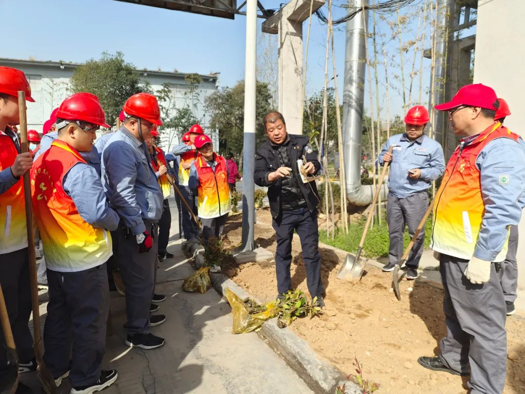 1616406454518751.jpeg 1616406454518751.jpeg