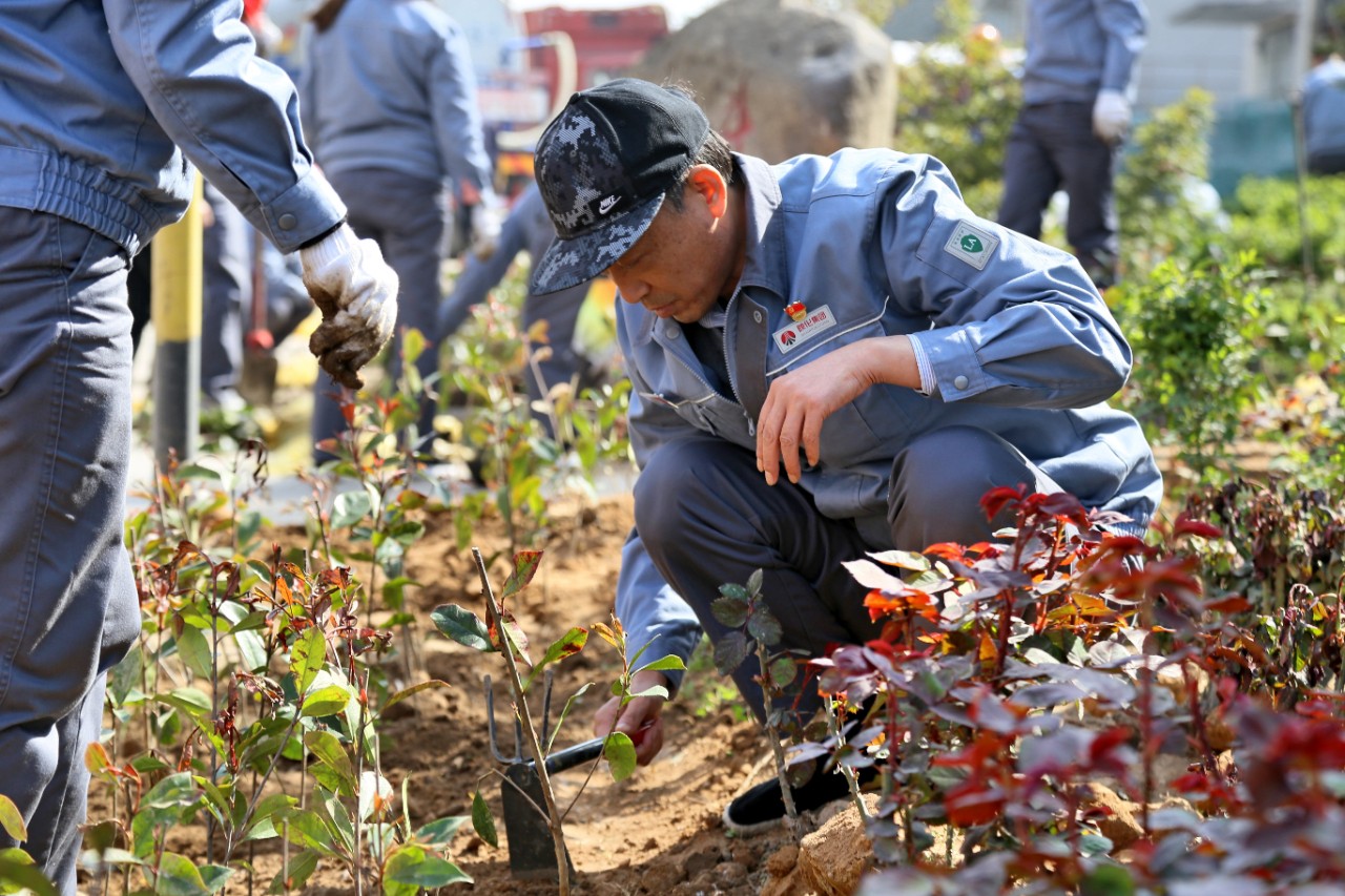 1616406510316867.jpeg 1616406510316867.jpeg