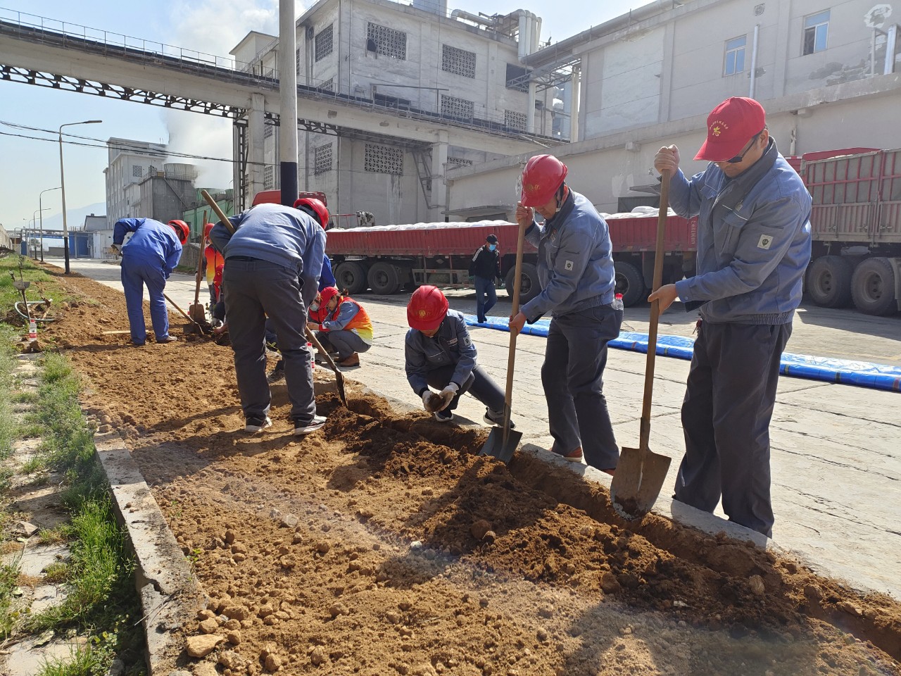 1616406511397974.jpeg 1616406511397974.jpeg