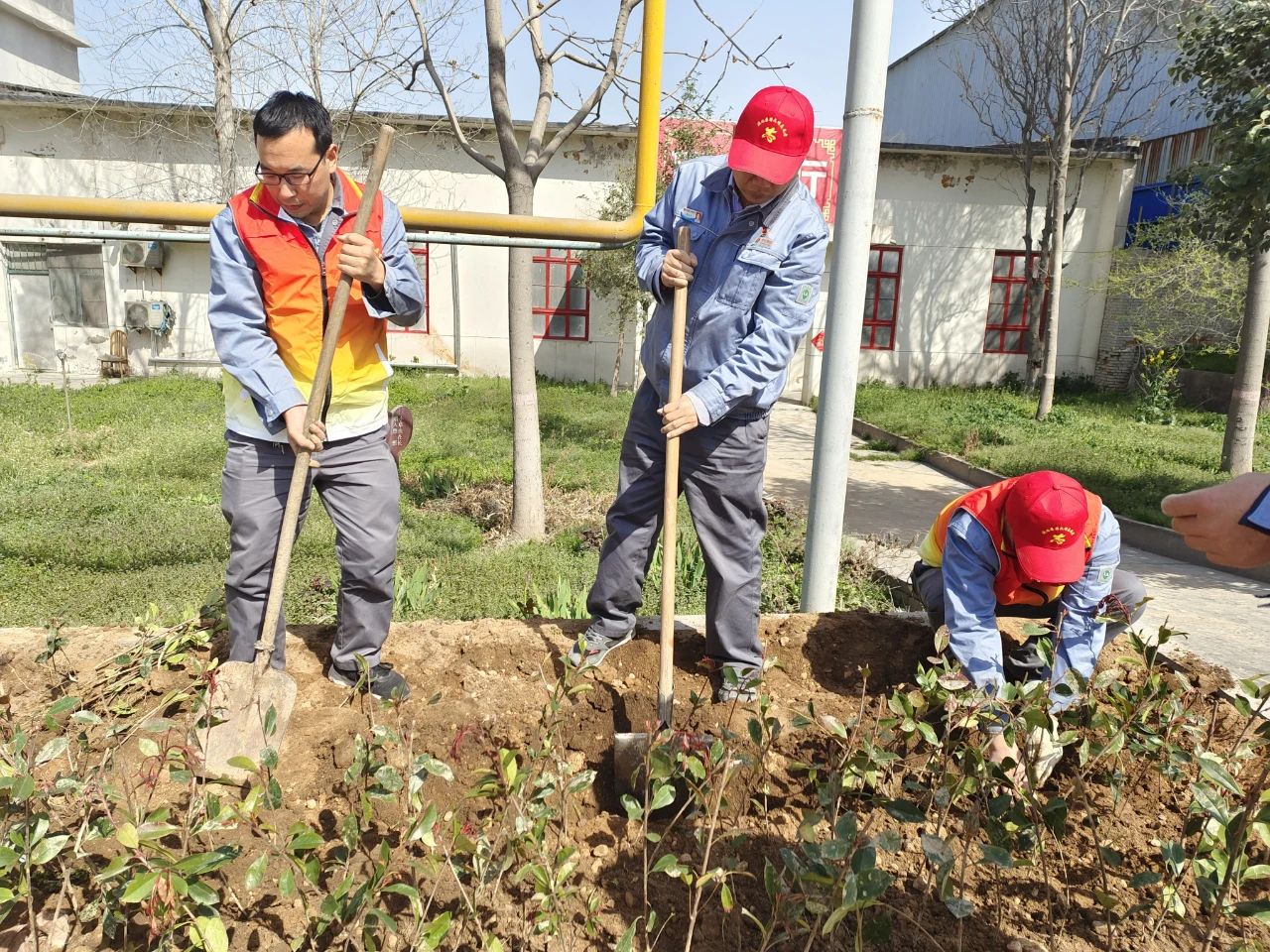 1616406511542059.jpeg 1616406511542059.jpeg