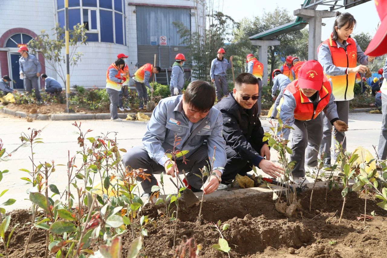 1616406511651804.jpeg 1616406511651804.jpeg