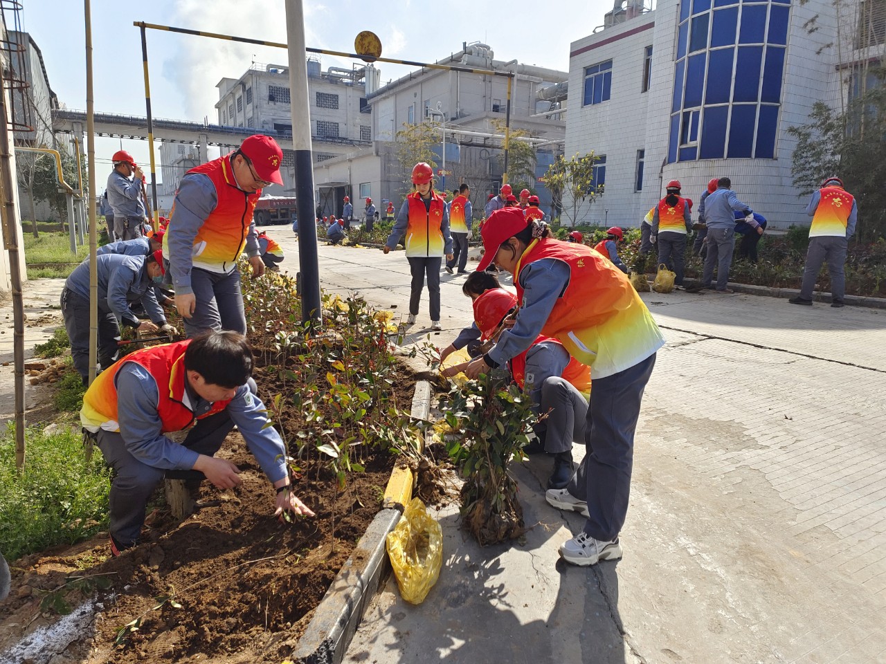 1616406511881632.jpeg 1616406511881632.jpeg