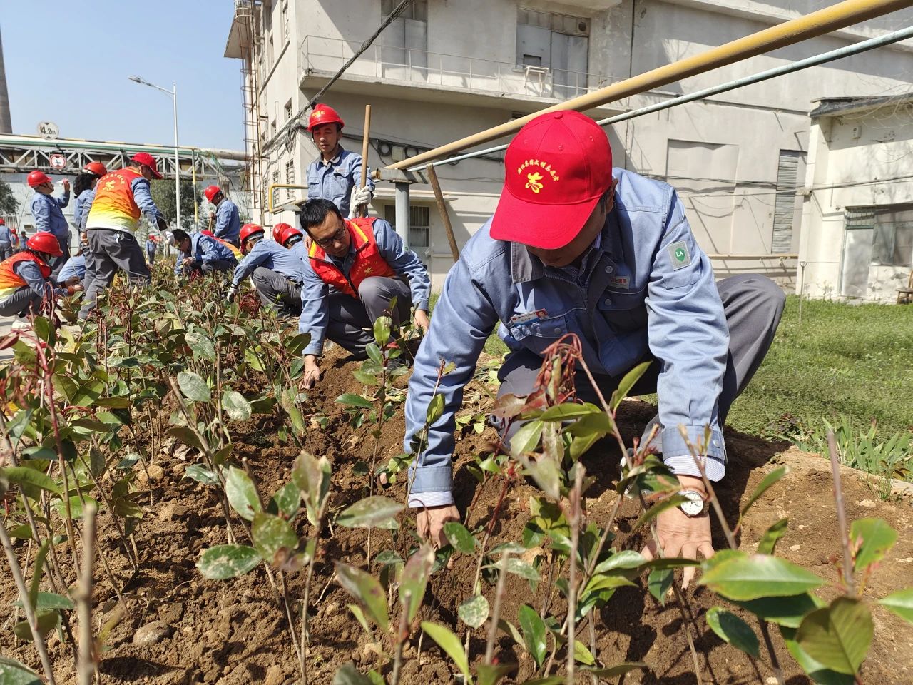 1616406512537484.jpeg 1616406512537484.jpeg