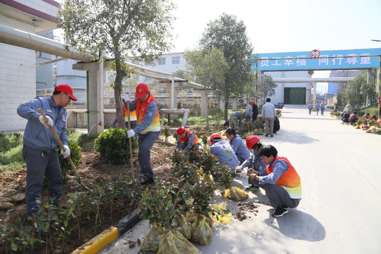 1616406512990065.jpeg 1616406512990065.jpeg