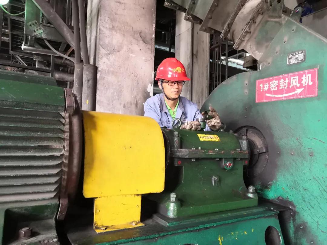 1619517202299772.jpeg 1619517202299772.jpeg