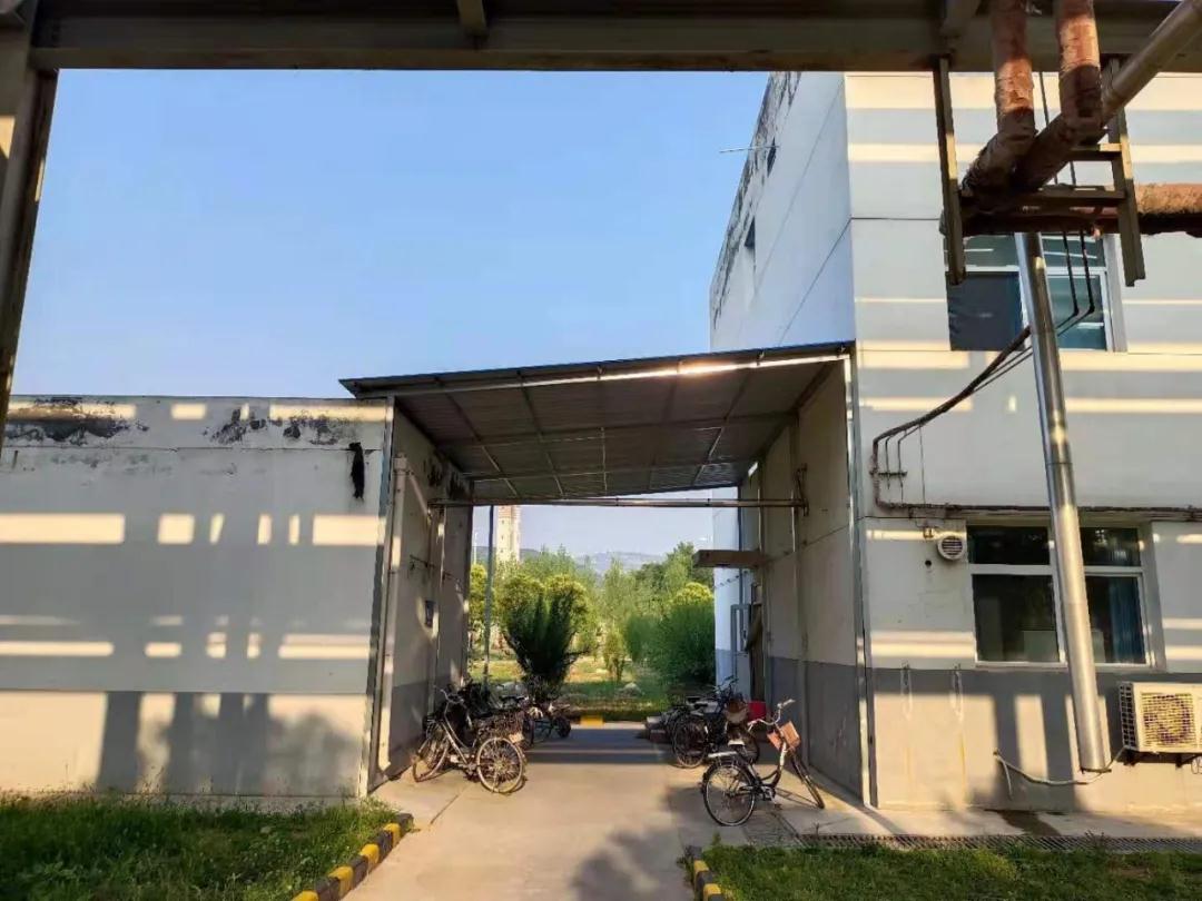 1624970294316879.jpeg 1624970294316879.jpeg