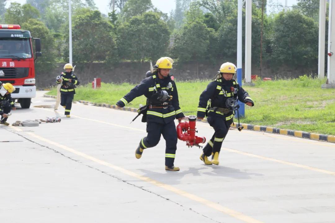 1625616728533069.jpeg 1625616728533069.jpeg