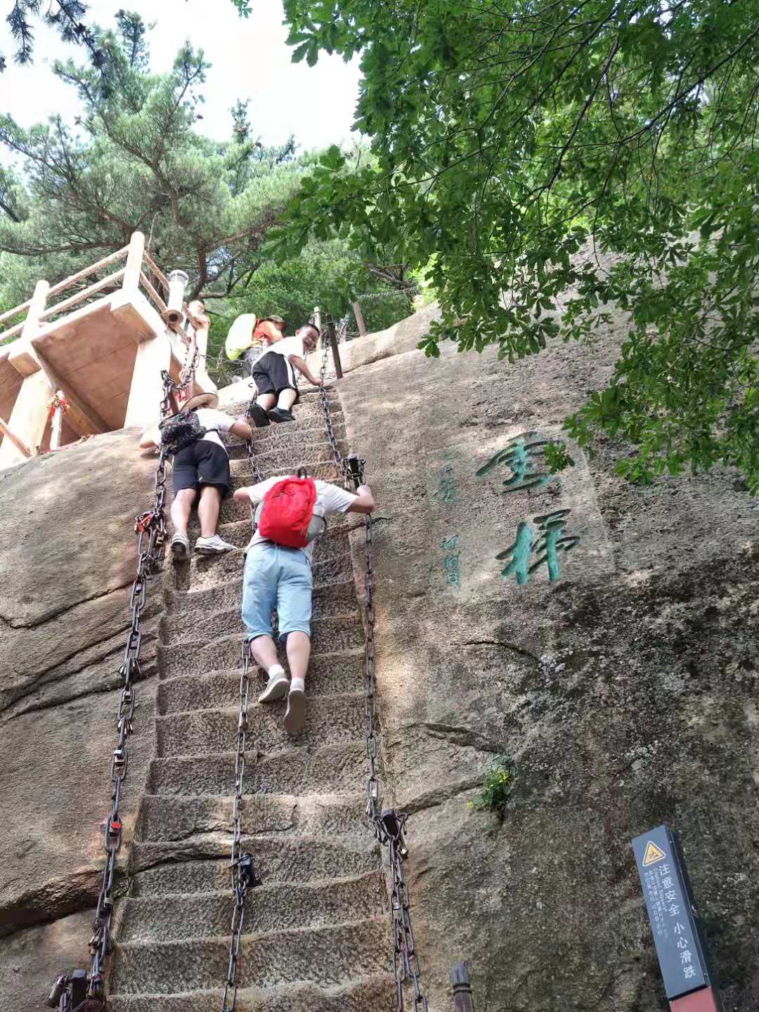 1629430470616066.jpeg 1629430470616066.jpeg