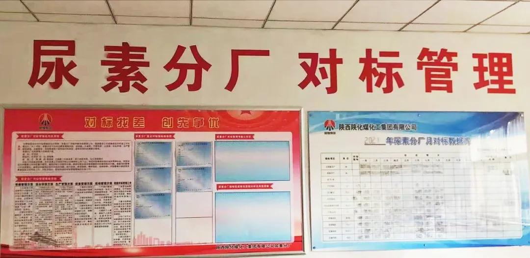 1632911227216121.jpeg 1632911227216121.jpeg