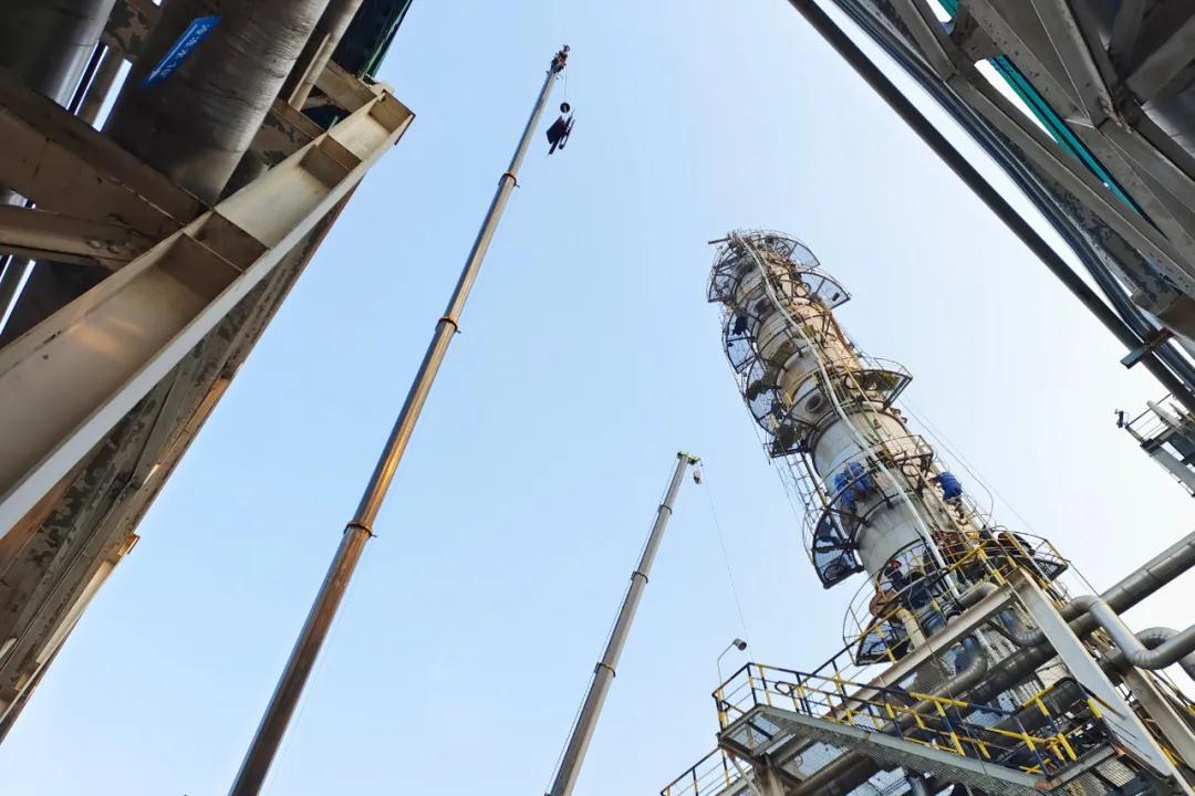 1639652094928762.jpeg 1639652094928762.jpeg