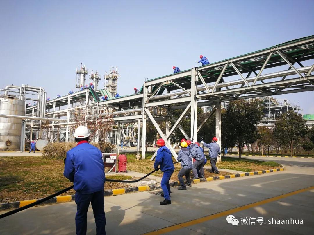 1645006057434564.jpeg 1645006057434564.jpeg