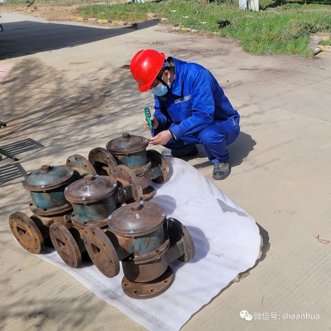 1646993775353092.jpeg 1646993775353092.jpeg