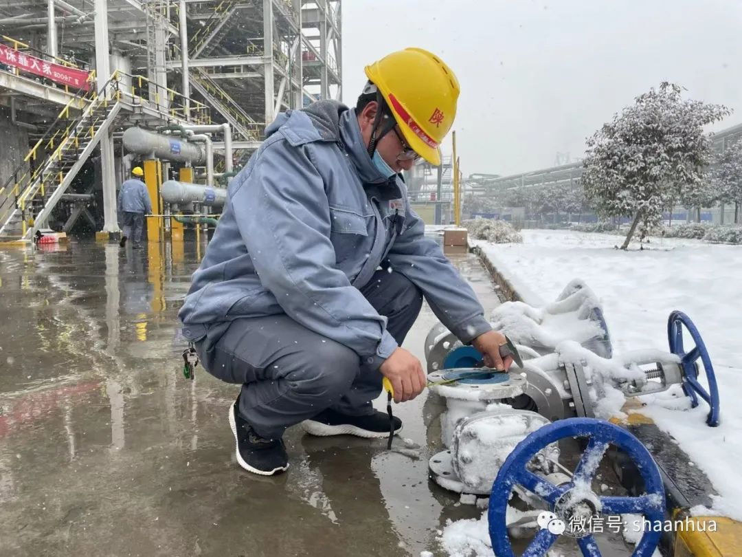 1647828101680070.jpeg 1647828101680070.jpeg