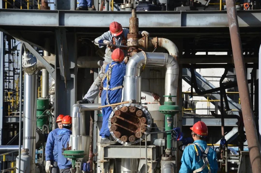 1648032359125578.jpeg 1648032359125578.jpeg