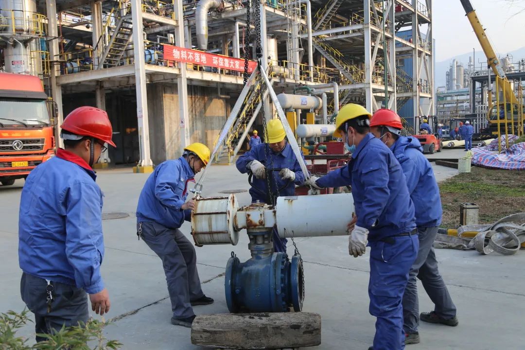 1648032396260105.jpeg 1648032396260105.jpeg