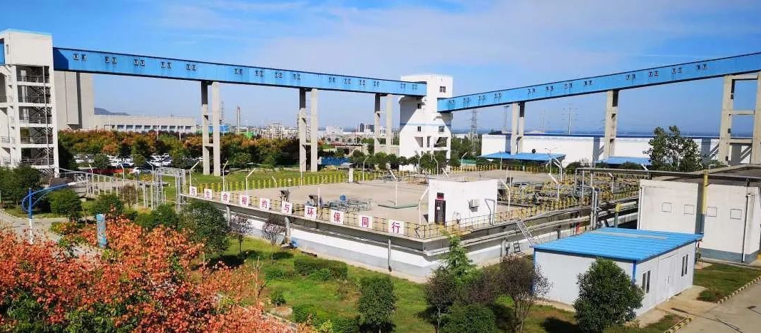 1648559231286566.jpeg 1648559231286566.jpeg