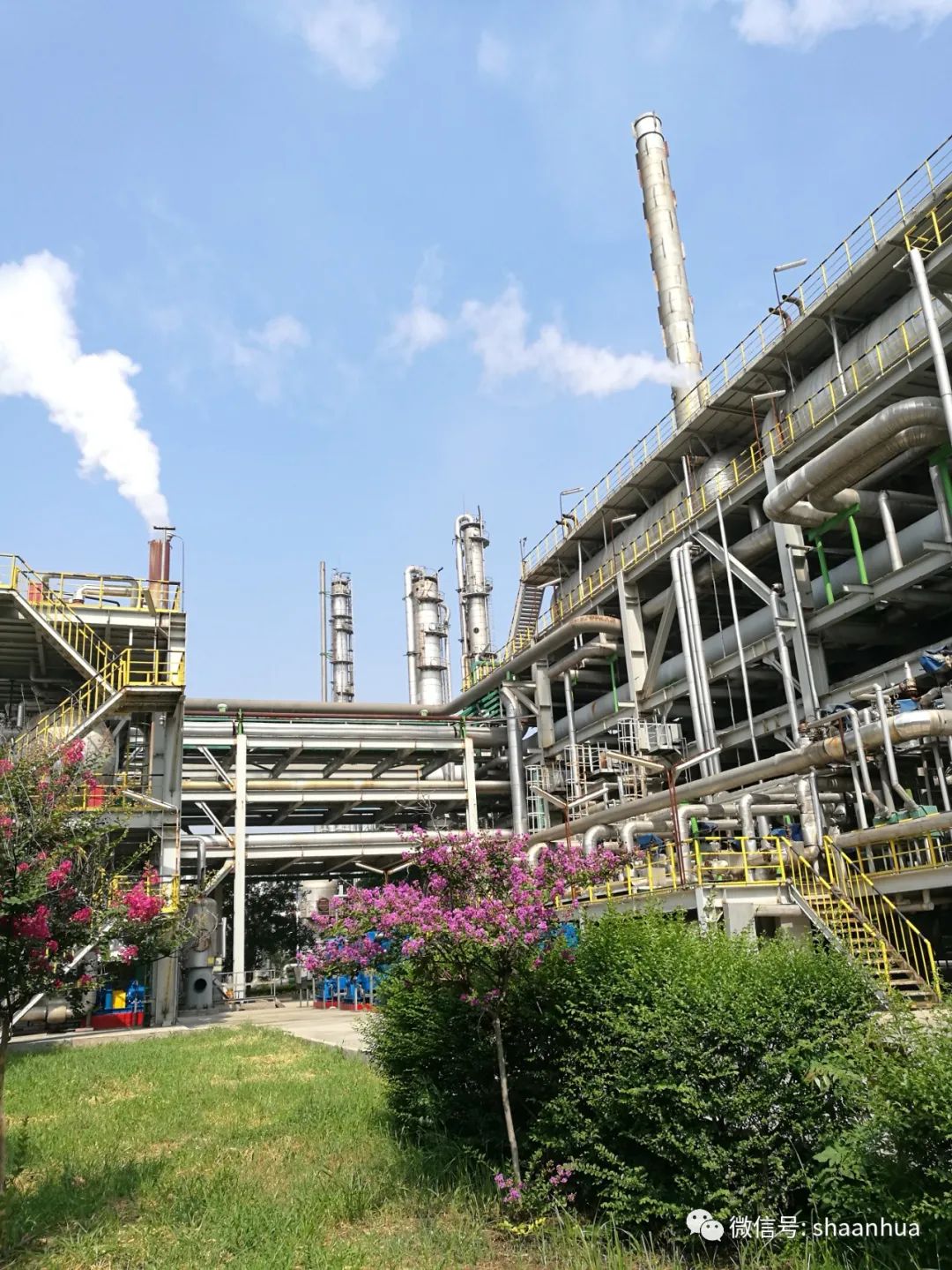 1650023567131809.jpeg 1650023567131809.jpeg