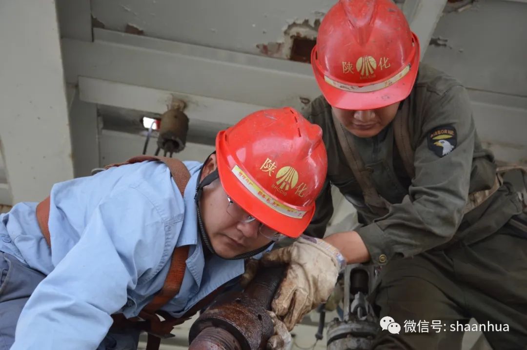 1655103985228635.jpeg 1655103985228635.jpeg