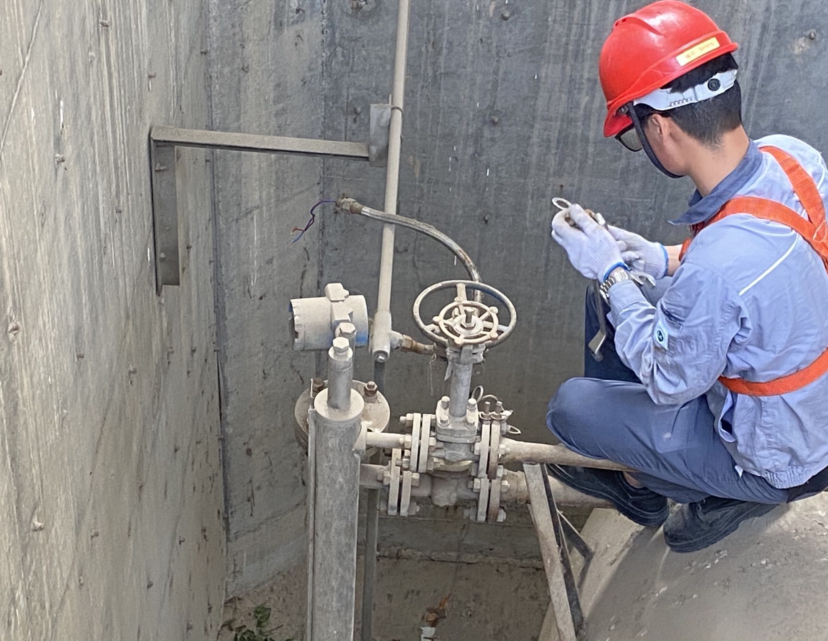 1655167756977419.jpeg 1655167756977419.jpeg