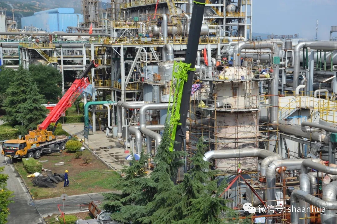 1655890919248239.jpeg 1655890919248239.jpeg