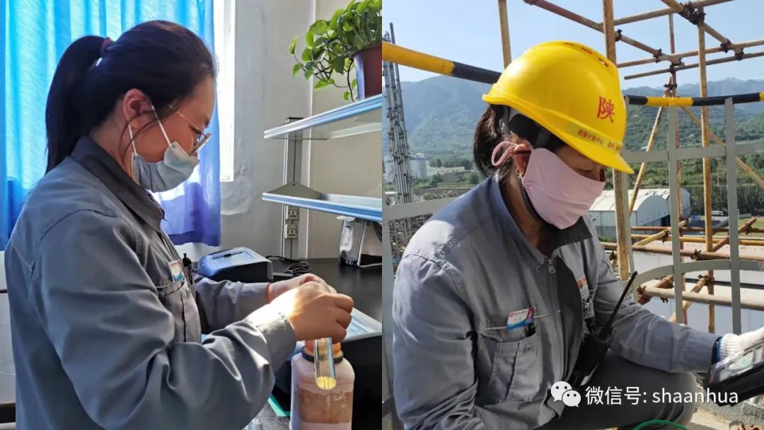 1656677391631181.jpeg 1656677391631181.jpeg