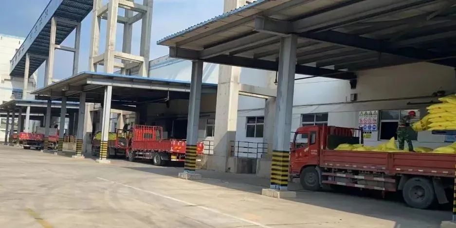 1657878112262159.jpeg 1657878112262159.jpeg