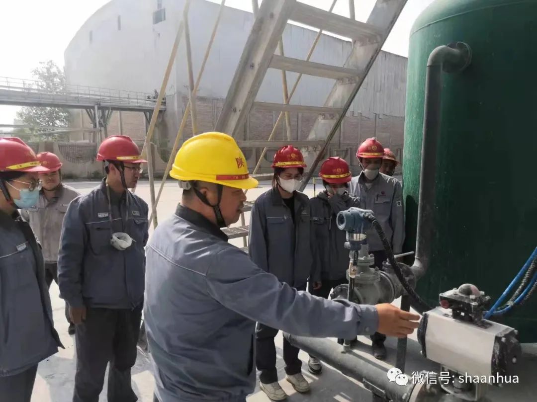 1659014018293343.jpeg 1659014018293343.jpeg