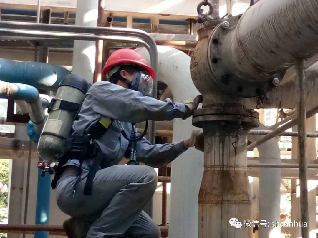 1659665277141081.jpeg 1659665277141081.jpeg