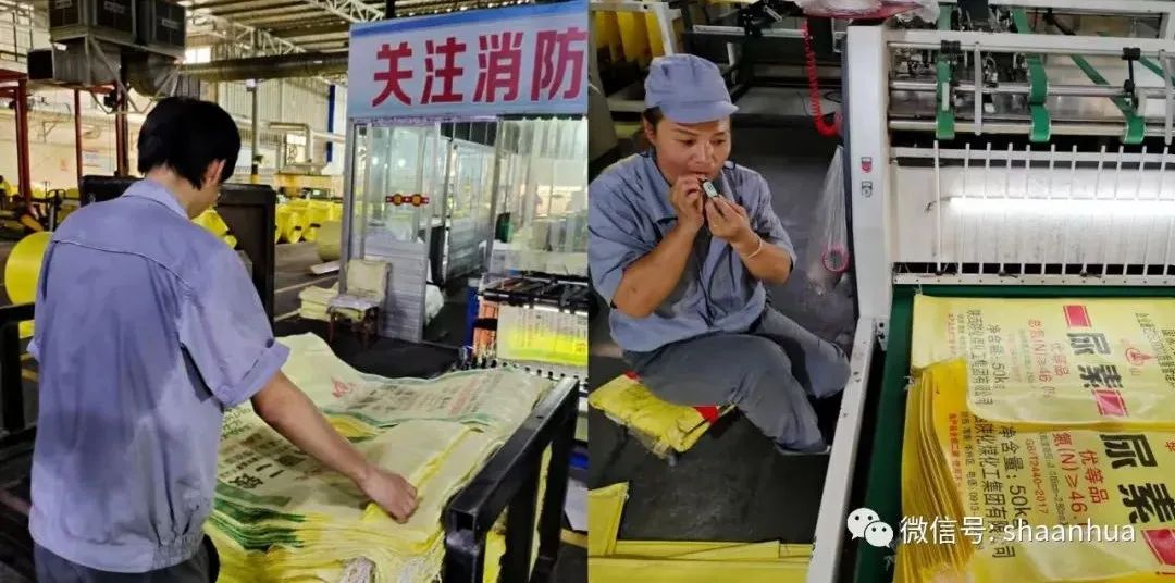 1660213572676238.jpeg 1660213572676238.jpeg