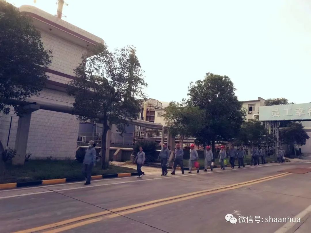 1660640008113338.jpeg 1660640008113338.jpeg