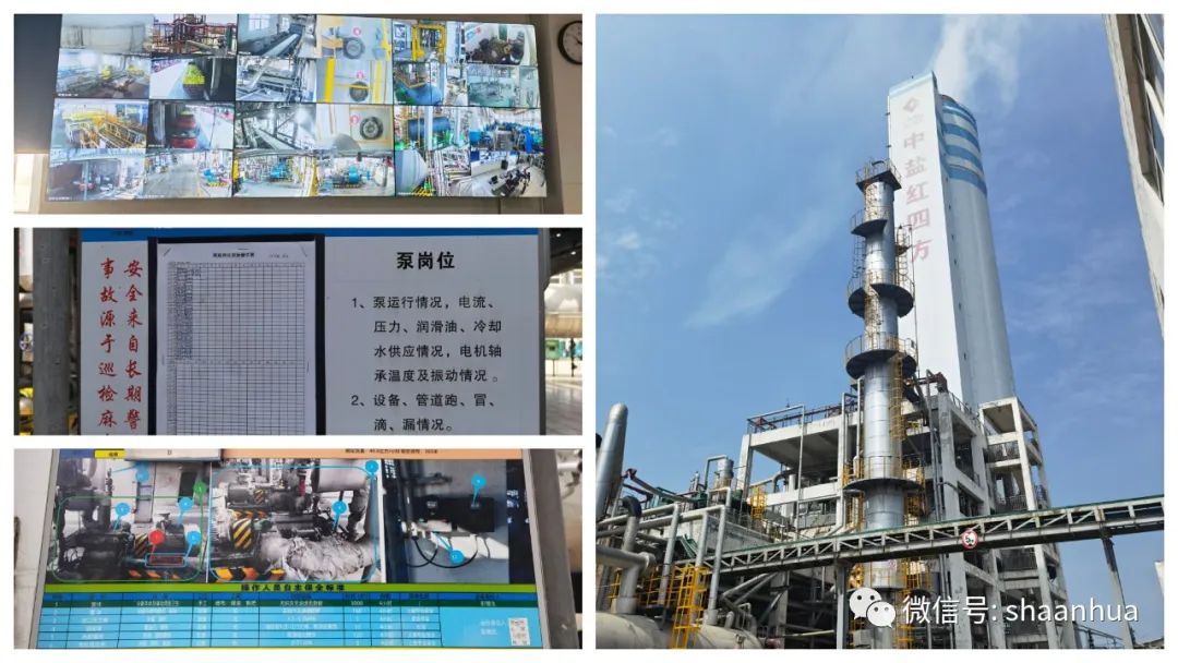 1661508986346282.jpeg 1661508986346282.jpeg