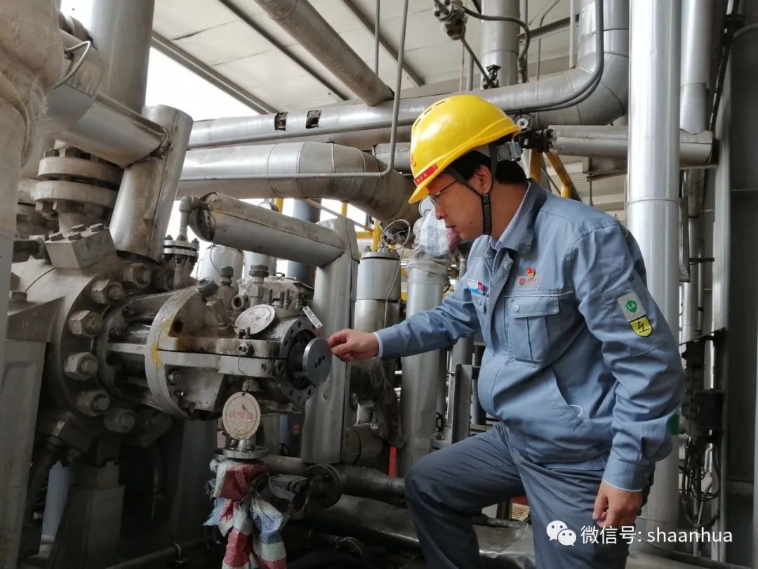 1666347548244058.jpeg 1666347548244058.jpeg