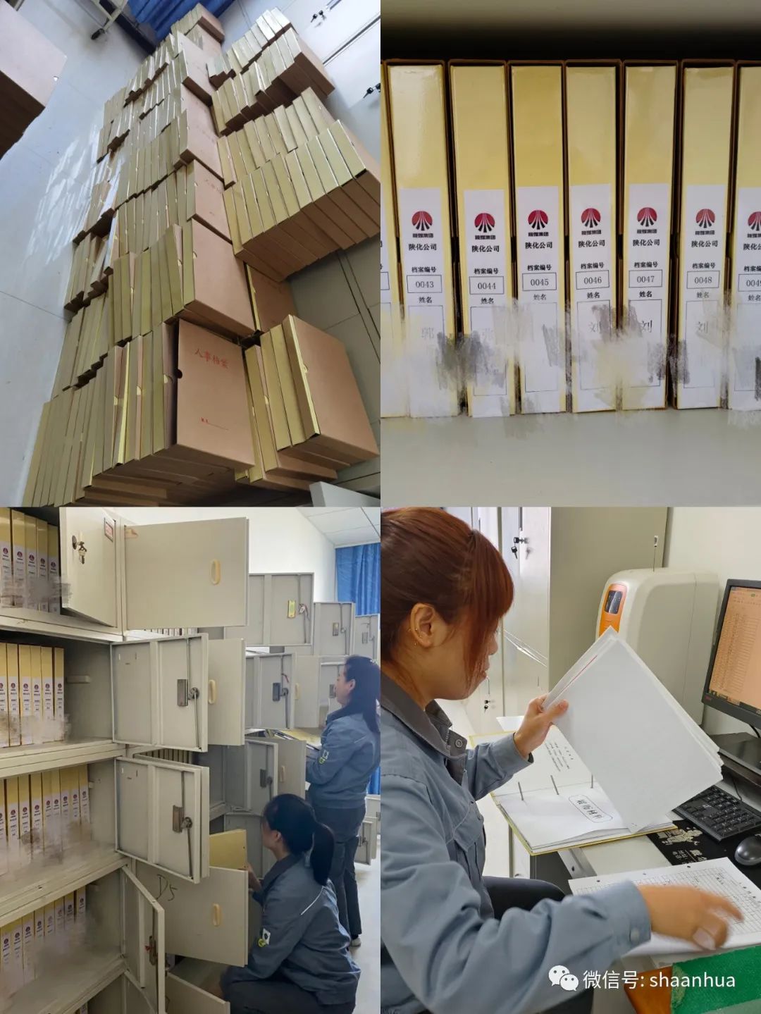 1666781184951174.jpeg 1666781184951174.jpeg