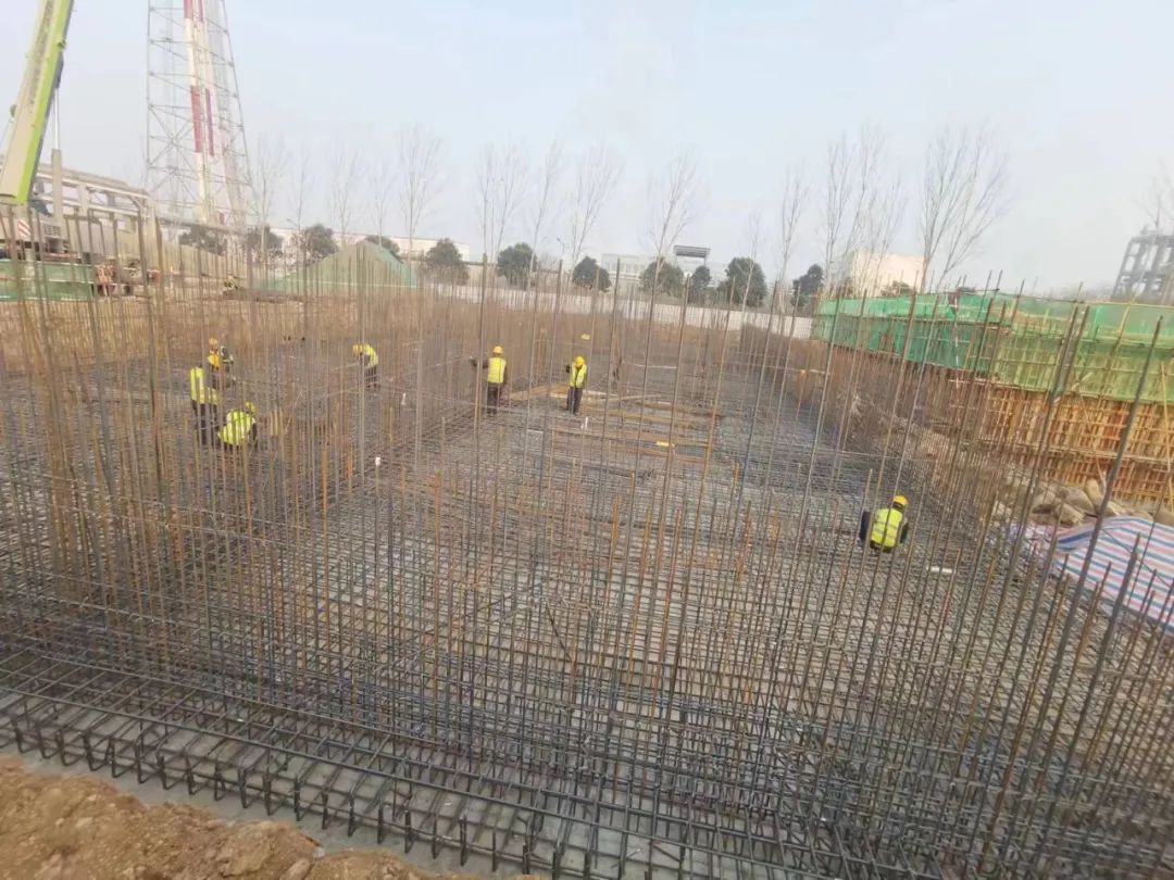 1675161464664671.jpeg 1675161464664671.jpeg