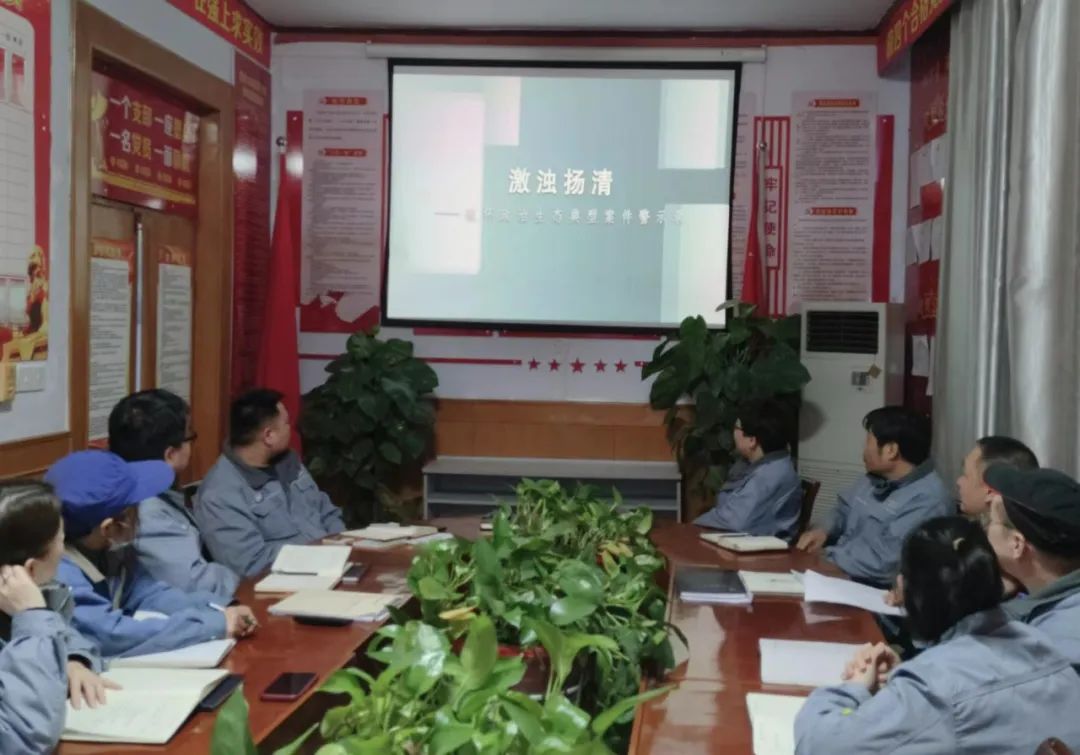 1677667016266411.jpeg 1677667016266411.jpeg