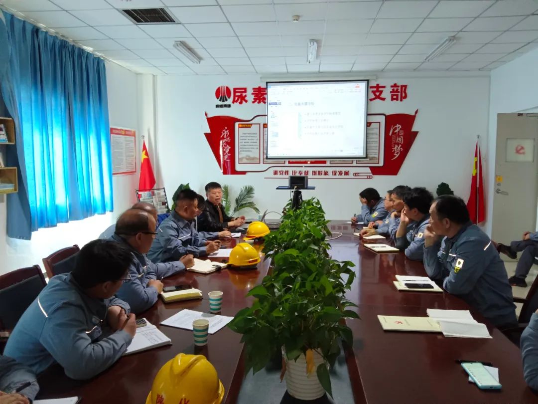 1679118334409898.jpeg 1679118334409898.jpeg