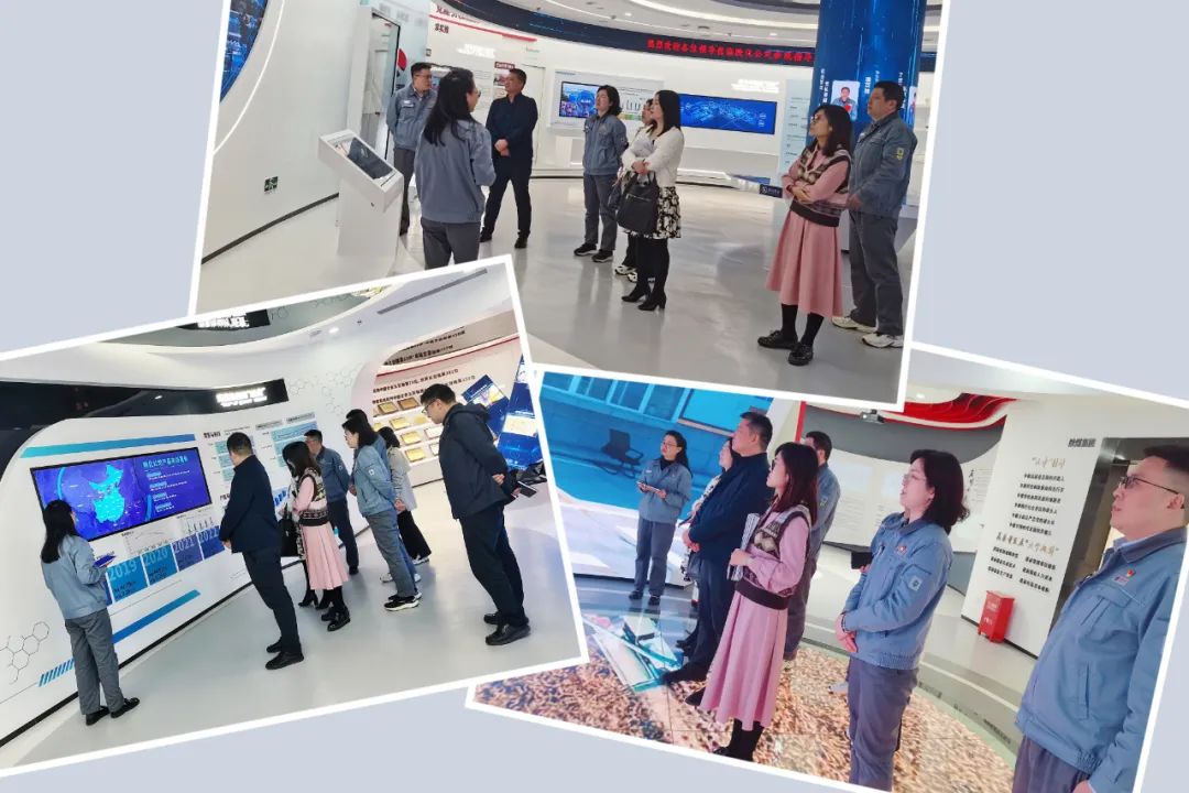 1680261889643683.jpeg 1680261889643683.jpeg