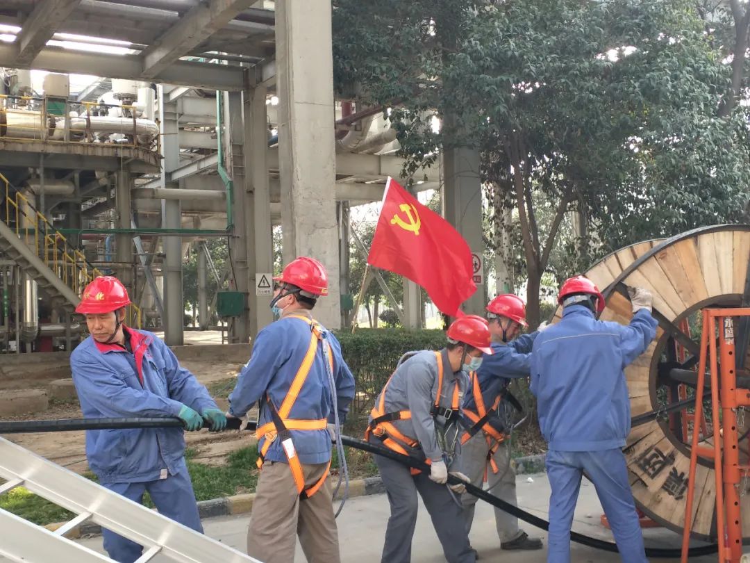 1685060329728564.jpeg 1685060329728564.jpeg