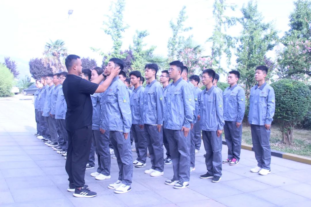 1689064535313802.jpeg 1689064535313802.jpeg