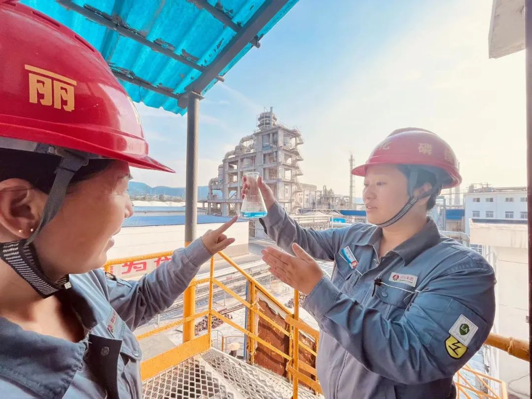 1690460265937649.jpeg 1690460265937649.jpeg