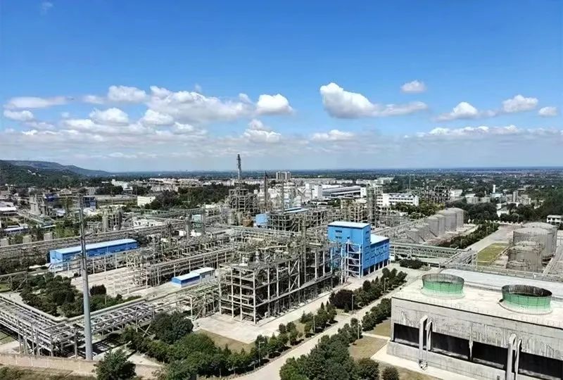 1690884970586109.jpeg 1690884970586109.jpeg