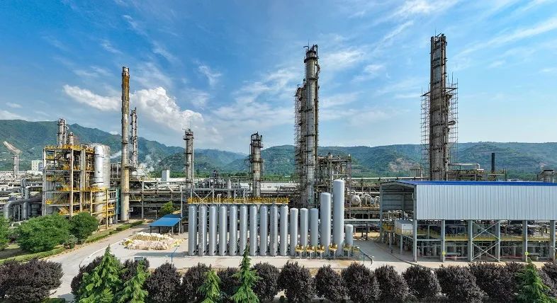 1690884975782094.jpeg 1690884975782094.jpeg