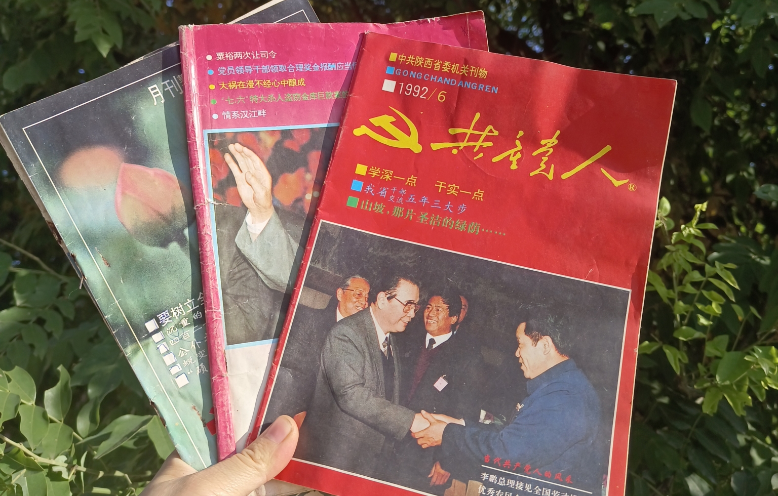 1690948411584072.jpeg 1690948411584072.jpeg