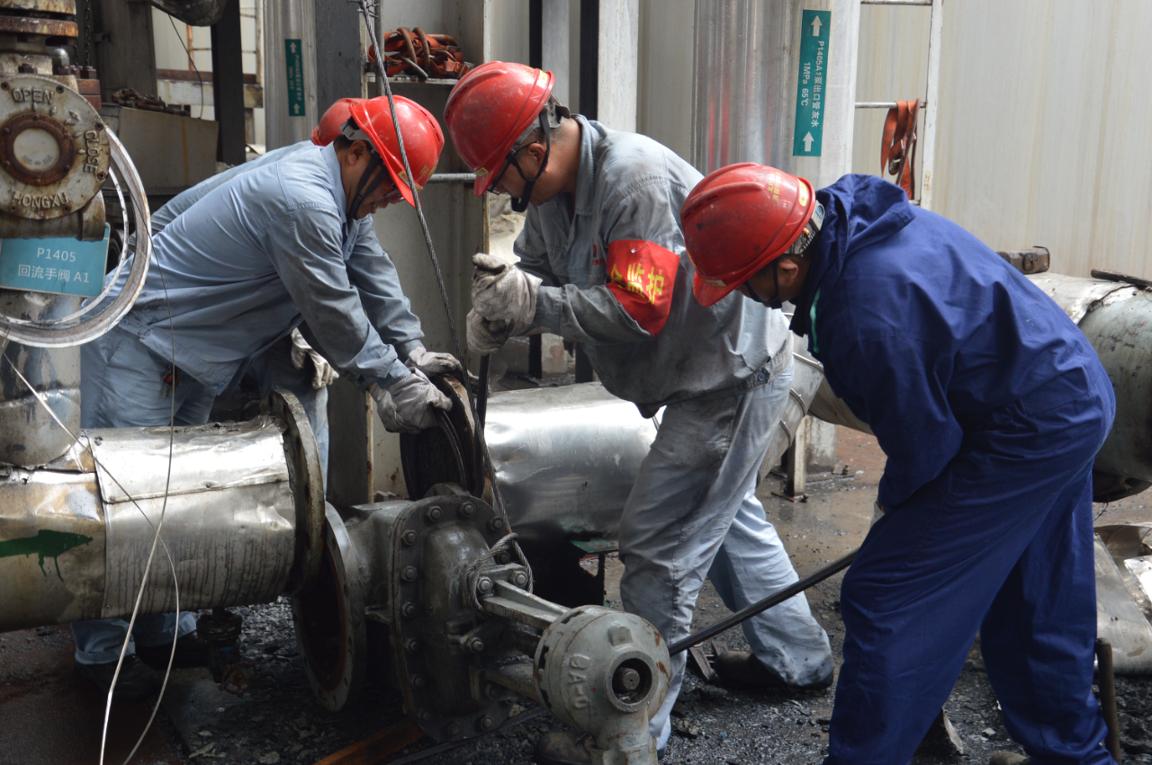 1693912576608697.jpeg 1693912576608697.jpeg