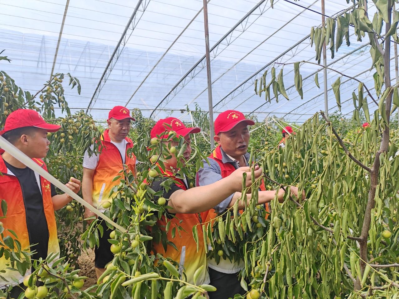 1693912590280621.jpeg 1693912590280621.jpeg