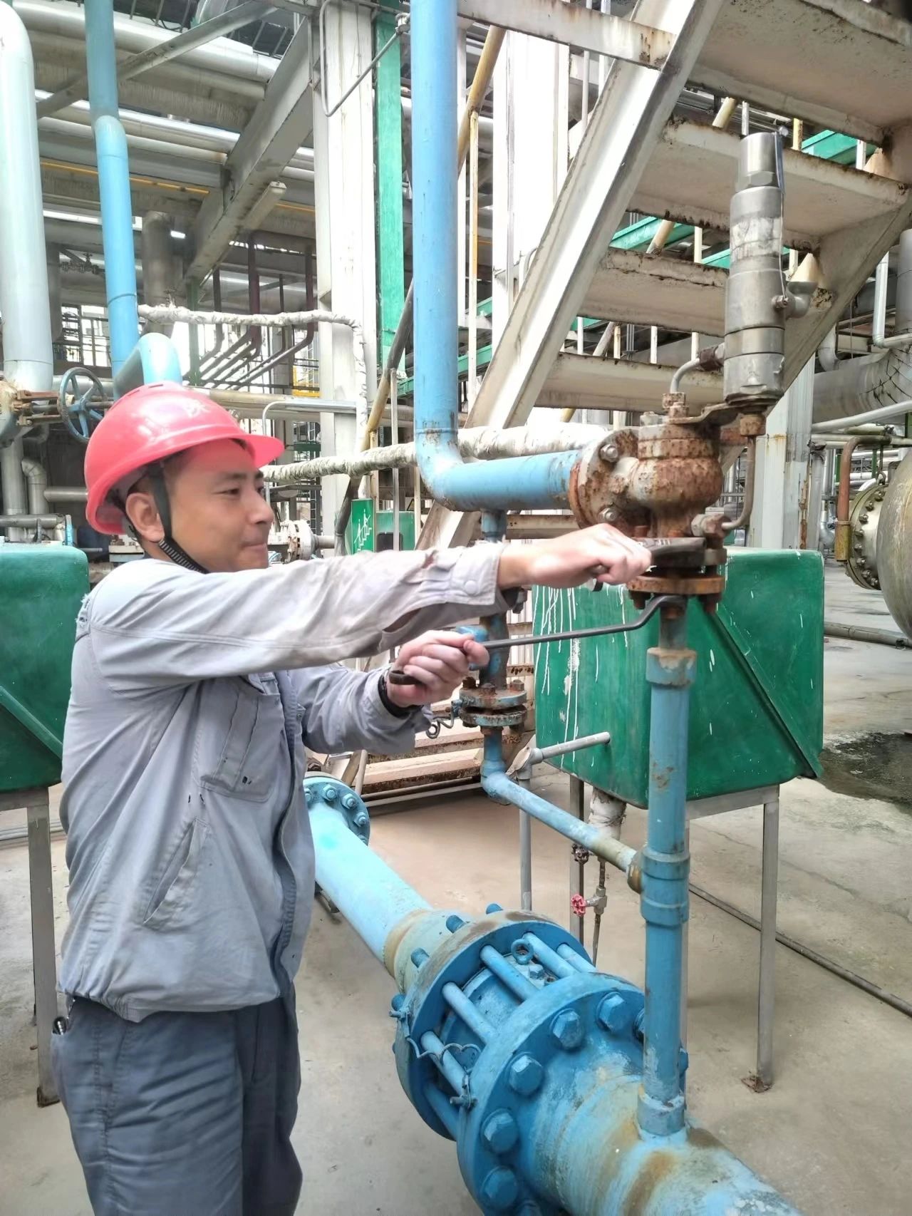 1695606850855221.jpeg 1695606850855221.jpeg